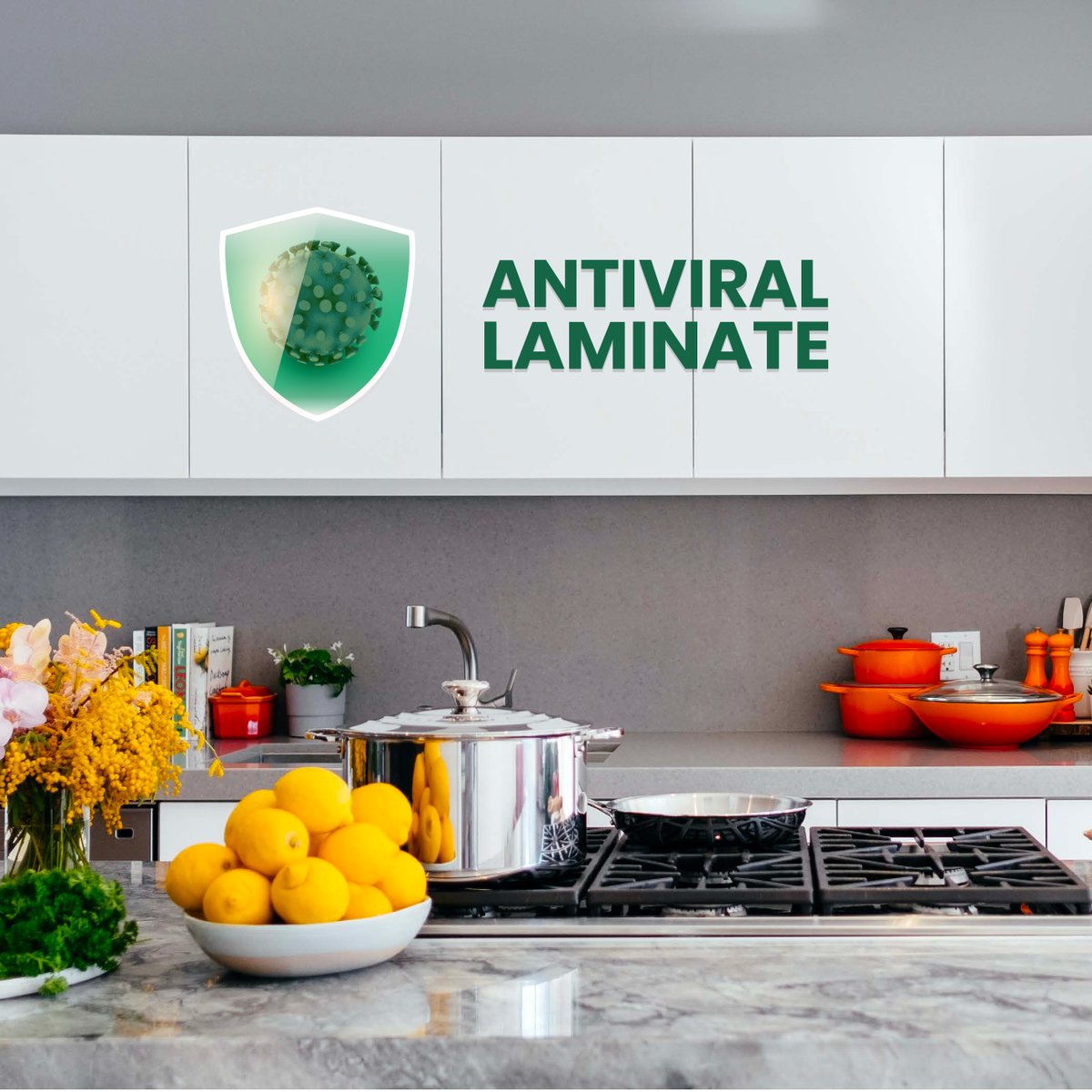 ASD Antibacterial Collection