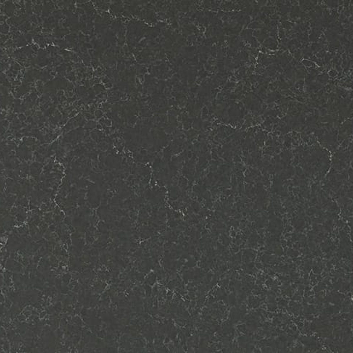 5003 Piatra Grey